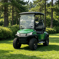 Voiture de golf électrique professionnelle 48V à deux places, alimentée au lithium, en promotion, buggy de golf tout-terrain, 30-50 km/h, 70-90 km d'autonomie