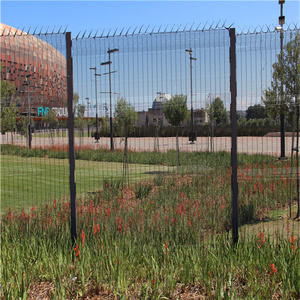 Cao 2M Nam Phi Không Leo Lên Rõ Ràng Vu Xem Rõ Ràng Hàng Rào - Product Image 4