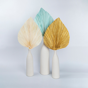 2022 Chaud Naturel Plante Sèche Tropical Spear Palm Variété Couleur Feuilles De <span class=keywords><strong>Palmier</strong></span> Séchées Feuilles De <span class=keywords><strong>Palmier</strong></span> Séchées Fleurs De Mariage - Product Image 2