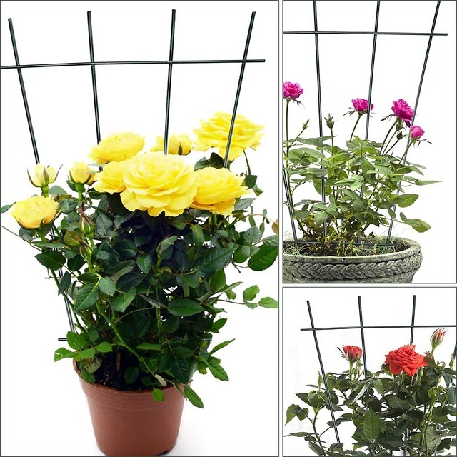 Lot De 5 Supports Plantes Grimpantes Dorés - Treillis Métal Intérieur Extérieur Pour Vignes Et Fleurs En Pot