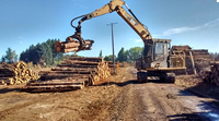Cost Effective Log Timber Grapple 360° Rotary Hydraulic Grapple for Straw Reed and Slender Wood Loading