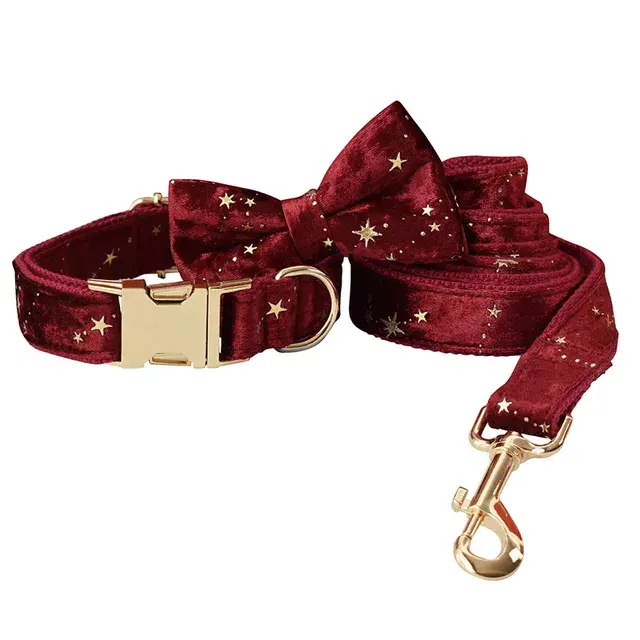 Bow Collar Leash Set