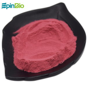 Epinbio <span class=keywords><strong>Myrica</strong></span> <span class=keywords><strong>Rubra</strong></span> Natural de Alta Calidad/Waxberry Powder /Red Bayberry Powder - Product Image 2