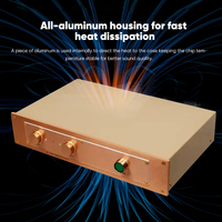 BRZHIFI lecteur de musique haut de gamme FM ACO STICS FM300A châssis en aluminium 150W * 2 amplificateur Hifi doré professionnel