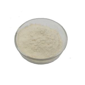 <strong>Bromelain</strong> 2400 GDU Pure Natural Pineapple Extract Powder <strong>Bromelain</strong> Enzyme <strong>Bromelain</strong> - Product Image 3