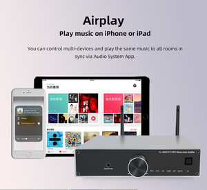 เครื่องขยายเสียงสเตอริโอ Hi-Fi WIFI BT 5.4 รุ่น CL-250W เครื่องขยายเสียงระดับไฮเอนด์ <span class=keywords><strong>Brzhifi</strong></span> Class D DAC เครื่องขยายเสียงแบบสตรีมเมอร์ - Product Image 5
