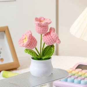 <span class=keywords><strong>Kit</strong></span> de Flores de Ganchillo de Cachemira Hechas a Mano al por Mayor de Fábrica, Juguete de Ganchillo Amigurumi <span class=keywords><strong>para</strong></span> Principiantes, Regalo de Graduación - Product Image 6