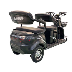 Offerta Speciale: <span class=keywords><strong>Bicicletta</strong></span> Elettrica a <span class=keywords><strong>Tre</strong></span> <span class=keywords><strong>Ruote</strong></span> 48V, Scooter per Mobilità a 2 Posti, Capacità di Carico 400kg, Auto Rickshaw Motorizzato - Product Image 3