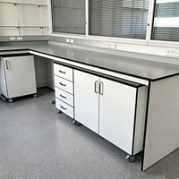 Bancs individuels de laboratoire pour lycées, tables de laboratoire humides pour physique, biologie, chimie, résine phénolique avec étagères