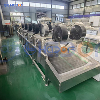 Nieuwe industriële sorteermachine voor perziken en uien, 2000 kg/uur, SUS 304 roestvrij staal, laag energieverbruik, hoge efficiëntie, waterbeltechnologie
