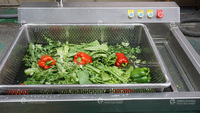 Industriële groentewasmachine met ozonbelreinigingssysteem voor voedselverwerkingsfabrieken