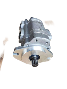 Bomba de rodillos de doble vibración <span class=keywords><strong>G5</strong></span>-20-6-AH6F-20L rotación izquierda/<span class=keywords><strong>G5</strong></span>-10-6-1 H15F-20R rotación derecha - Product Image 3