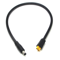 Câble adaptateur XT30, connecteur femelle XT30 vers mâle DC5521, câble de connexion pour station d'alimentation portable, panneau solaire