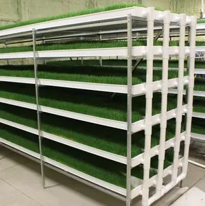 Fodder crops gutter agriculture watering system Green house metal frame agriculture greenhouse