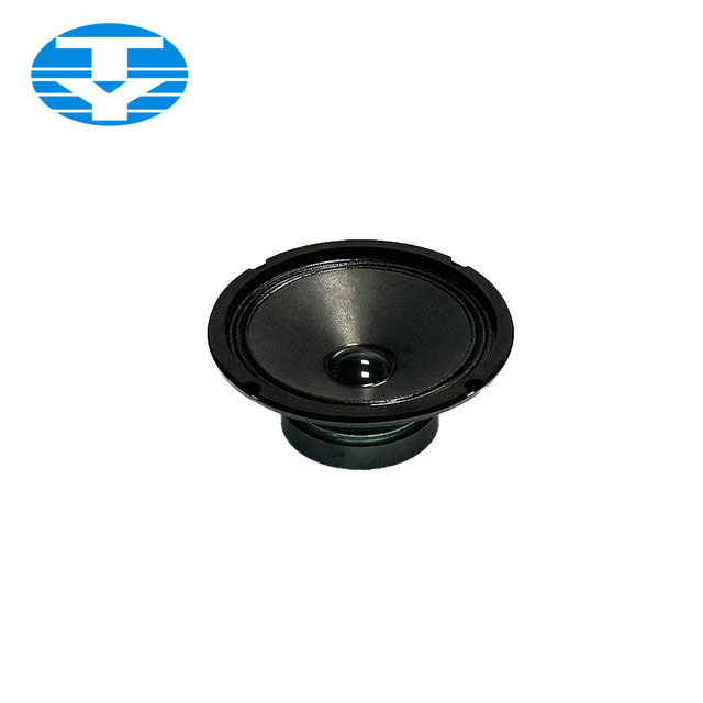 2024 Wholesale Tongxiang Brand 6.5 Inch Paper Audio Speaker 4 20W 10-30W Support App Black Plastic Popular Style