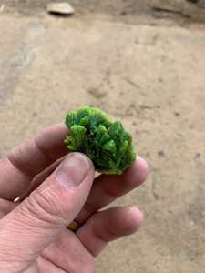 Esemplare Minerale Naturale di Heulandite Verde - Decorazione in Cristallo <span class=keywords><strong>Autunite</strong></span> Calcouranite - Product Image 3