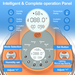 Incubateur à œufs de caille 15 œufs, retournement automatique, contrôle numérique de la température et de l'humidité, candélabre LED, fenêtre transparente, petit incubateur pour volailles - Product Image 4