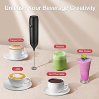 Mousseur à lait électrique portable en acier inoxydable pour café, matcha et autres préparations – Batteur à mousse automatique pour la cuisine et la maison