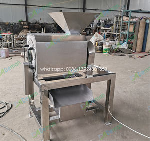 Máquina de despuntado de piña, papaya, piña, albaricoque, eliminación de granos, <span class=keywords><strong>precio</strong></span> de fábrica - Product Image 5