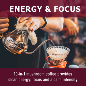 Café de hongos al por mayor de fábrica con extracto de salgueiro y polvo de hongo Tremella, suplemento herbal para la salud inmunológica - Product Image 3