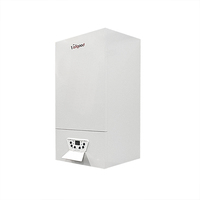 Chaudière combinée gaz à économie d'énergie 32KW pour le chauffage de villa et l'eau chaude sanitaire, deux fonctions