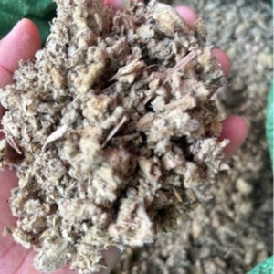 Foglie di Verbasco Selvatico Essiccate Naturali, Erba Tagliata di Verbascum Thapsus per Tisane - Product Image 4