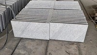 Gris nuageux flammé poli gris naturel granit pavé extérieur escalier étape granit carrelage de sol pour jardin