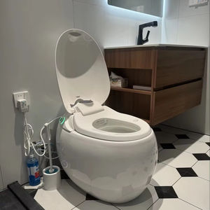 अंडे का आकार स्मार्ट शौचालय एक टुकड़ा टैंलेस शौचालय पर गर्म सीट और रिमोट कंट्रोल के साथ गर्म सीट और रिमोट कंट्रोल के साथ - Product Image 1