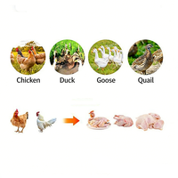 Plumeuse de volailles entièrement automatique en acier inoxydable, machine tout-en-un pour l'échaudage et la plumeuse de poulets, canards et oies, pour abattoir
