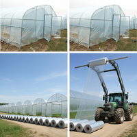 Lámina de Plástico LDPE para Invernadero, 200 Micras, Resistente a los Rayos UV, Moldeada por Extrusión y Soplado, para Cultivo de Tomates y Vegetales, para Invierno