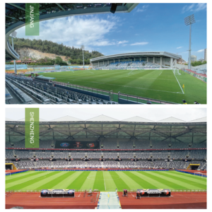 Césped Natural Premium, Duradero y Suave, Certificado por FIFA, para Cancha de Fútbol Interior/Exterior con Servicio de Mantenimiento - Product Image 2