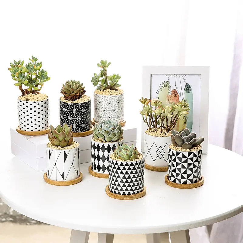 Wholesale Nordic Style Geometric Pattern Creative Ceramic Exquisite Desktop Succulent Plants Pot With Bamboo Tray