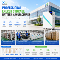 Batterie lithium LiFePO4 murale 51,2 V avec système d'énergie solaire hybride pour panneaux solaires connectés au réseau