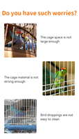 Cage en métal pour oiseaux, motif peonie tigre, petite cage ornementale pour l'élevage, pour usage domestique et en villa, pour animaux de compagnie