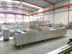 Tự động khô ngày thermoforming máy đóng gói chân không bộ phim kéo dài chân không niêm phong máy đóng gói - Product Image 4