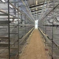Système de cages vertical H entièrement automatique et galvanisé à chaud pour l'élevage de poules pondeuses en ferme avicole