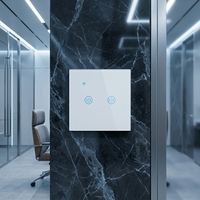 Interrupteur intelligent Tuya Larkkey à 2 boutons en verre, Wi-Fi L+N/L, en promotion, au meilleur prix