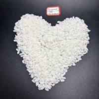 Masterbatch de remplissage en carbonate de calcium (CaCO3) pour PP, PE, HDPE, LDPE – Réduit les coûts de production, bonne dispersion