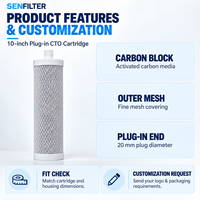 Cartouche de filtre à bloc de carbone CTO de 10 pouces avec connecteur enfichable de 20 mm pour purificateurs d'eau