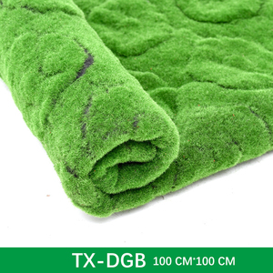 Tapis en mousse artificielle cadre mural de salon art mural de bureau plante taille personnalisée art de mousse pour la décoration intérieure de jardin à la maison - Product Image 4