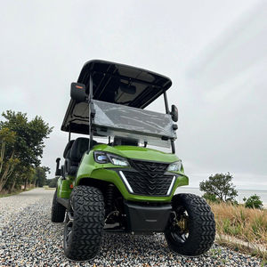 Mini lüks antika elektrik klasik Golf arabası 4 yolcu 6 kişilik 8 koltuk düğün tatil otel için yeni çelik CE sertifikalı - Product Image 2