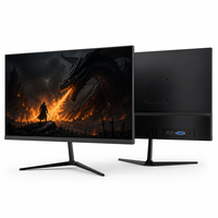 24 İnç FHD IPS Monitör 100Hz Dahili USB Hub 300cd/m² HDMI VGA İnce Çerçeve VESA Ofis Oyun OEM Özel