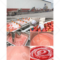 OCEAN Volledig Automatische Complete Productielijn voor Groenteketchup, Tomatenpuree en Tomatensaus