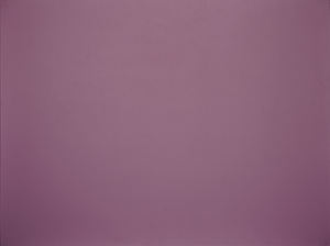 Feuille décorative d'acier inoxydable de panneau de peinture de fluorocarbone multicolore faite en usine professionnelle - Product Image 5