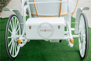 Chariot de princesse <span class=keywords><strong>cendrillon</strong></span> blanc OEM, calèche à cheval utilisé pour mariage, citrouille royale, chariot de tourisme - Product Image 5