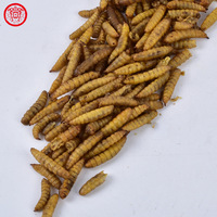100% naturel en vrac vers à haute teneur en calcium haute teneur en protéines alimentation animale séchage au micro-ondes séché noir soldat mouche larves pour la nourriture des oiseaux