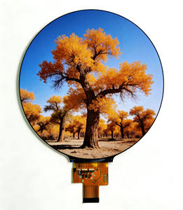 Módulos de Pantalla LCD TFT Redondos de 4 Pulgadas con Interfaz MIPI de 30 Pines, Pantalla LCD de 720*720 Píxeles para Productos Digitales - Product Image 1