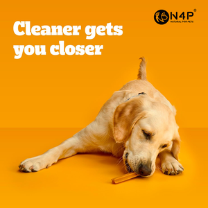 Golosinas Dentales para Perros Multifuncionales con Sabor Original de Alta Calidad OEM y ODM - para el Cuidado Bucal Diario y Recompensas para Mascotas - Product Image 5