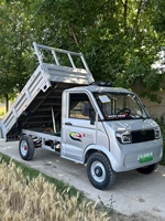 Mini camionnette électrique 60V à batterie au plomb, 4 roues, 1500W, 65km/h, autonomie 101-200km, 2 places, pour les stations balnéaires