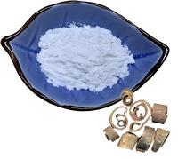 Approvisionnement d'usine de haute qualité 98% poudre d'extrait d'écorce de Magnolia naturel pur 2.0% ~ 98.0% tambour blanc de qualité alimentaire Magnolol Honokiol